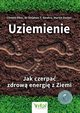 Uziemienie, Ober Clinton