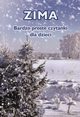 Zima Bardzo proste czytanki dla dzieci, Hinz Magdalena