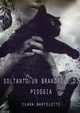 Soltanto un brandello di pioggia, Bartoletti Clara