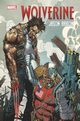 Wolverine Tom 2, Aaron Jason, . Jock, Ribic Esad, Paquette Yanick, Smith C.P., Garney Ron, Gianfelice Davide
