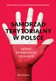 Samorzd terytorialny w Polsce, Gawowski Robert, Makowski Krzysztof, Nowosielski Micha