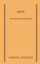 Ants, Stanescu Saviana