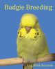 Budgie Breeding, Addicts Bird