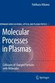 Molecular Processes in Plasmas, Itikawa Yukikazu