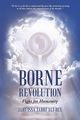 Borne Revolution, Ali-Bey Jahi Issa Jabri