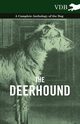 The Deerhound - A Complete Anthology of the Dog, Various