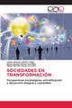 SOCIEDADES EN TRANSFORMACIN, Flores Tapia Carlos Ernesto
