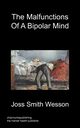 The Malfunctions of a Bipolar Mind, Smith Wesson Joss