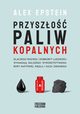 Przyszo paliw kopalnych, Epstein Alex