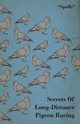 Secrets of Long-Distance Pigeon Racing, 