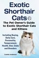 Exotic Shorthair Cats The Pet Owner's Guide to Exotic Shorthair Cats and Kittens  Including Buying, Daily Care, Personality, Temperament, Health, Diet, Clubs and Breeders, Anderson Colette