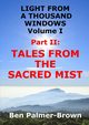 LIGHT FROM  A THOUSAND WINDOWS Volume I  Part II, Palmer-Brown Ben