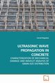 ULTRASONIC WAVE PROPAGATION IN CONCRETE, Nogueira Carnot