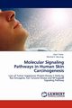 Molecular Signaling Pathways in Human Skin Carcinogenesis, Yadav Vipin