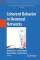 Coherent Behavior in Neuronal Networks, 