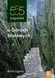 555 zagadek o Grach Stoowych, Zygma Anna