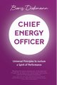 Chief Energy Officer, Diekmann Boris