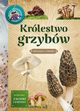 Krlestwo grzybw, Bdkowska Hanna