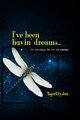 I've been havin' dreams..., Tigerlilystar