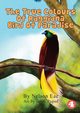 The True Colours Of Raggiana Bird Of Paradise, Eae Nelson