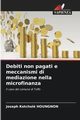 Debiti non pagati e meccanismi di mediazione nella microfinanza, HOUNGNON Joseph Kotchol