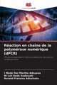 Raction en chane de la polymrase numrique (dPCR), Adnyana I Made Dwi Mertha