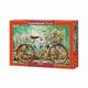 Puzzle Beautiful Ride 500, 