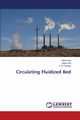 Circulating Fluidized Bed, Ray Mukul