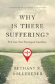 Why Is There Suffering?, Sollereder Bethany N.
