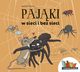 Pajki w sieci i bez sieci, Kierat Justyna