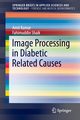 Image Processing in Diabetic Related Causes, Kumar Amit