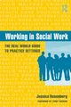 Working in Social Work, Rosenberg Jessica