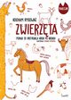 Zwierzta Kocham rysowa, 