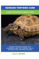 Russian Tortoise Care, Brown Lolly