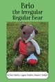 Brio, the Irregular Regular Bear, Smith JoAnn