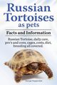 Russian Tortoises as Pets. Russian Tortoise facts and information. Russian tortoises daily care, pro's and cons, cages, diet, costs., Hoppendale George