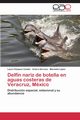 Delfin Nariz de Botella En Aguas Costeras de Veracruz, Mexico, Vazquez Castan Laura