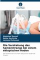 Die Verdrehung des Samenstrangs bei einem ektopischen Hoden, Dorsaf Makhlouf