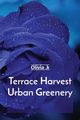 Terrace Harvest Urban Greenery, .k Olivia