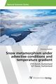 Snow metamorphism under advective conditions and temperature gradient, Andreoli Christian