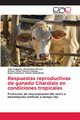 Respuestas reproductivas de ganado Charolais en condiciones tropicales, Hernndez-Rivera Juan Augusto