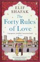 The Forty Rules of Love, Shafak Elif