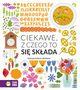 Ciekawe, z czego to si skada, Gargulkov Magda