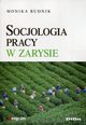 Socjologia pracy w zarysie, Budnik Monika