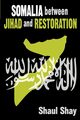 Somalia Between Jihad and Restoration, Shay Shaul