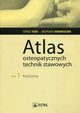 Atlas osteopatycznych technik stawowych Tom 1 Koczyny, Tixa Serge, Ebenegger Bernard