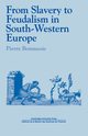 From Slavery to Feudalism in South-Western Europe, Bonnassie Pierre
