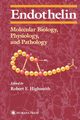 Endothelin, 