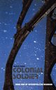 Colonial Soldier, Ryder Martin
