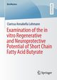 Examination of the in vitro Regenerative and Neuroprotective Potential of Short Chain Fatty Acid Butyrate, Lohmann Clarissa Annabella